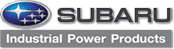 Robin-Subaru